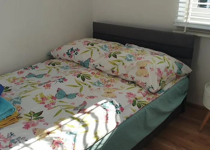 Sloneczny Brzeg 公寓