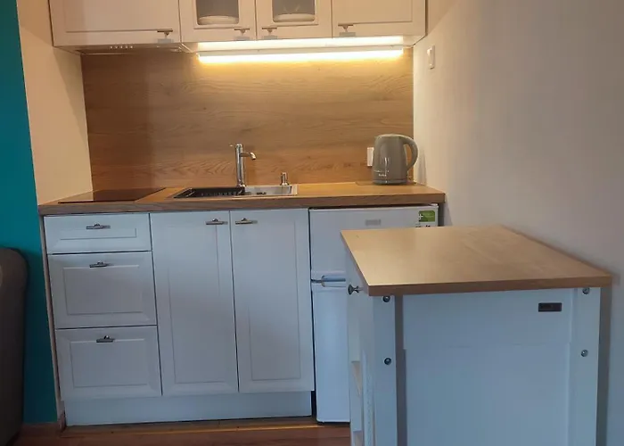 公寓 Sloneczny Brzeg *